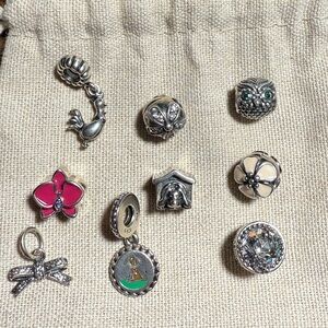 Assortment of retired Pandora bracelet beads.